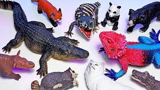 NEW Reptiles & Wild Animal Toys - Alligator, Crocodile, Panda, Chameleon, Red Panda, Black Bear, Pig