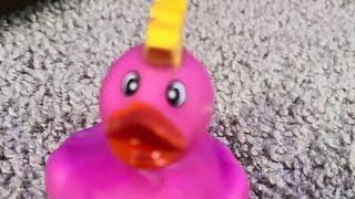 Facts about the rubber duck king