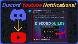 How to Setup Social Media Notifications your Discord Server!