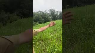 Introduction to second conservation area #stopeminentdomain #stopmprp @stopMPRP