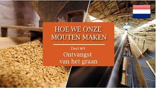 Hoe we onze mouten maken. Deel 1. Ontvangst van het graan | Castle Malting