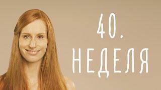 40. неделя беременности