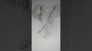 I made an elephant with simple pencil.