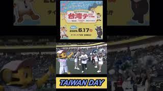 【セパ交流戦20256.17】阪神甲子園球場️台湾デー！台湾チアも参加#shorts#台湾チア #阪神タイガース