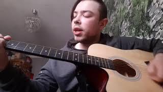 Гей, Соколи (Hej, Sokoły) На Гитаре/On Guitar