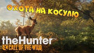 theHunter Call of the Wild #1 - Сезон охоты | Охота на косулю