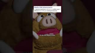 Has this ever happened to you? #funfact #puppet