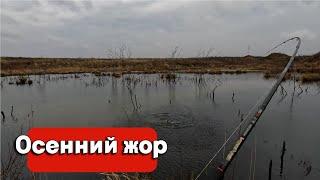 Попал на ЖОР ЩУКИ! Рыбалка в плохую погоду | Ноябрь 2023