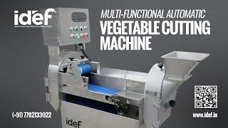 Multi-Functional Vegetable Cutting Machine, Vegetable Cutter, IDEF