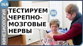 Тестируем черепно мозговые нервы. Прикладная кинезиология. Людмила Васильева