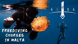 AIDA Freediving Courses in Malta with SPEARFISHERZ