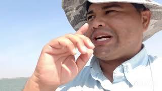 Lake Falcon Bank fishing rock points for Largemouth Bass