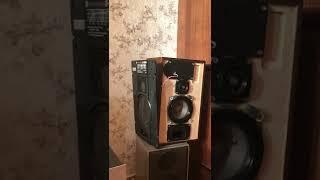 Soviet vintage Hi-Fi speakers from 1987 Radiotehnika S-30B