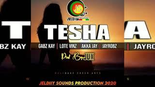 Gabz Kay,Lote Vinz, Akka Jay & Jayrobz - Tesha