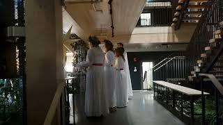 Lucia Songs in Gothenburg, Sweden – December 2024 (Part 3 of 9)