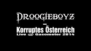 Droogieboyz - Korruptes Österreich [Live @ Gasometer 2014]