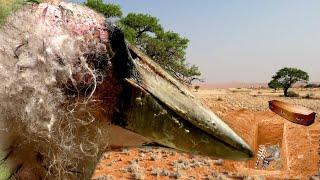 Exposing the Undertaker: The ugliest creature in the world!  #animals #animalsofyoutube