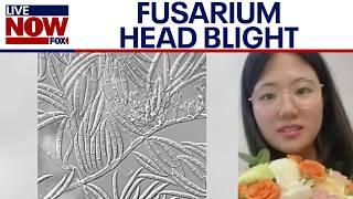 Agroterrorism: Chinese nationals charged after smuggling 'dangerous pathogen' into US
