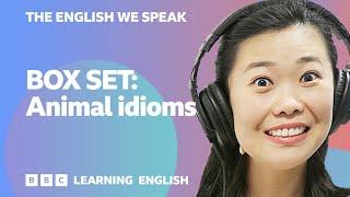 BOX SET: English vocabulary mega-class!  Learn 7 English idioms in 15 minutes!