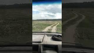 #сельские #движения