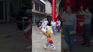  Small  Lion Dance Performer