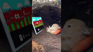 Bunny Watching incredibox Sprunki But All Raddy #sprunki #incredibox