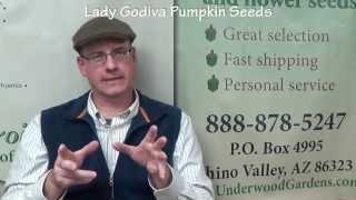 Lady Godiva Pumpkin Seeds