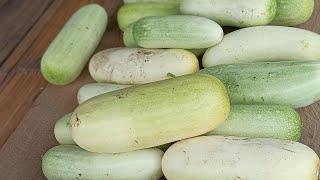 Tukum kalou u ahi e, Changlei & thinglei, #rice #ginger#farming  #videoviral #vlog  #cucumber