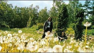 Летняя оборона - Плейлист