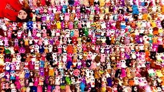 MY 550+ BEANIE BOO COLLECTION (2023)