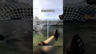 Fishing Trip Gone WRONG Is This The NEW King of Horror Fishing after Dredge?