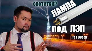 Будет ли люминесцентная лампа светиться под высоковольтной ЛЭП?#энергиликбез #за30сек