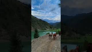 Kyrgyzstan very beautiful ️