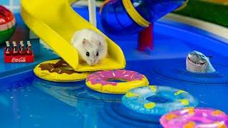 MEGA HAMSTER RACE  Labyrinth mit Fallenhamster Minecraft Maze