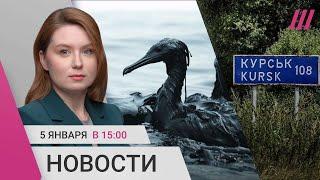 Внезапное наступление ВСУ в Курской области. Массовая гибель птиц в Анапе. Вспышка вируса в Китае