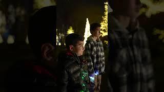 Winterlights at Newfields