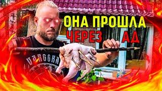 WARDHEIM - КУРИЦА ПО АДСКИ | ДРОВЕННИК | ФИНАЛ ЛЕТНЕГО СЕЗОНА #24