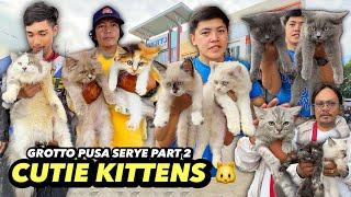 MGA CUTIE KITTENS | GROTTO PUSA SERYE PART 2 | JANUARY 13, 2025