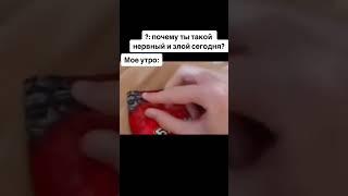 Согласны? #мем #прикол #шутка #врек #шортс #рекомендации #жиза