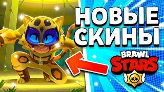 ОТВЕТЫ ФРЕНКА И ДЭНИ! НОВОСТИ БРАВЛ СТАРС! Обнова Brawl Stars - концепт