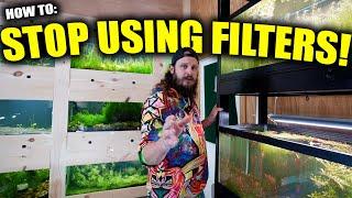 THE ZERO FILTER AQUARIUM  - Nature inspired fish tanks with Lucas Bretz LRB and king of DIY