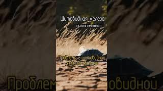 Психосоматика щитовидной железы. Читай в описании. #психосоматика #терапиявосприятия #психология