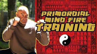 PRIMORDIAL MIND FIRE TRAINING