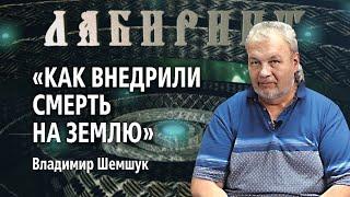 ЛАБИРИНТ | Как внедрили смерть на землю | Владимир Шемшук