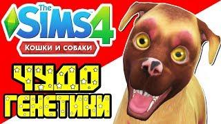 The Sims 4 Challenge | Чудо генетики | Собака