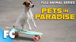 Pets In Paradise (14/26) | Season 2 Episode 01: Unbreakable Bond | Full Animal TV Show | FC