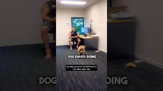 This Dog is Banned 