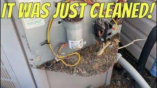 Central AC Not Cooling Outdoor Condenser Not Running Step by Step DIY How To Video