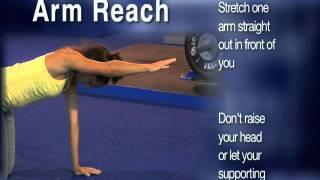 BACK EXERCISES: ARM REACH