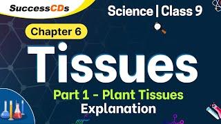 Class 9 Science Tissues Part 1 - Plant Tissue Chapter 6 Explanation, Question Answers